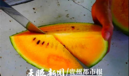 贵阳吃瓜爆料视频大全集,视频大全集精彩瞬间回顾